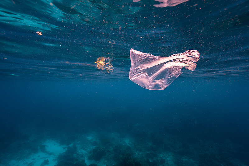 Mit Recycling und KI gegen Plastikmüll